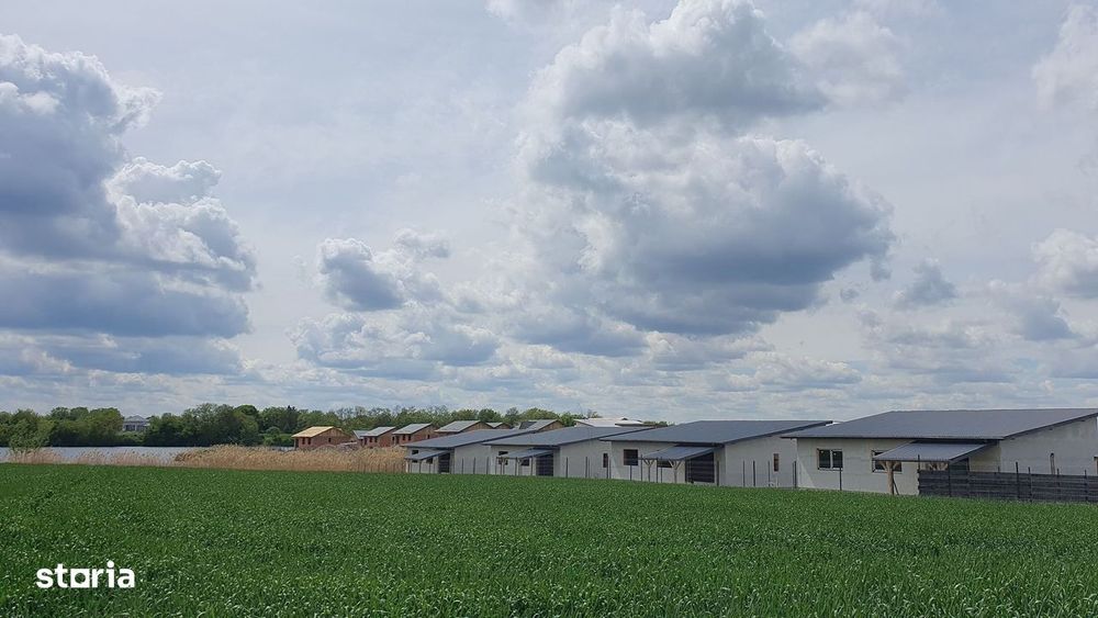 Case noi și ieftine, pe lacul Crevedia.