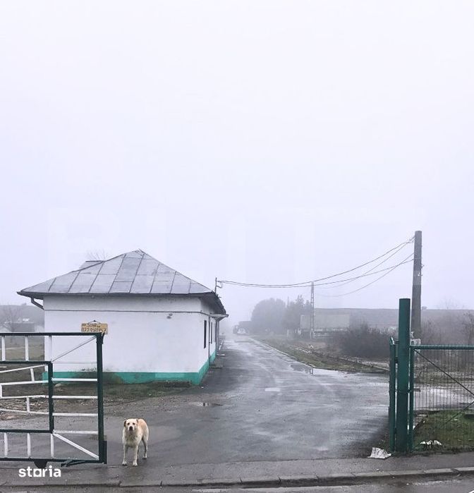 Spatiu Comercial Premium pentru Birouri / Sediu Firma | Siguranta 24/7