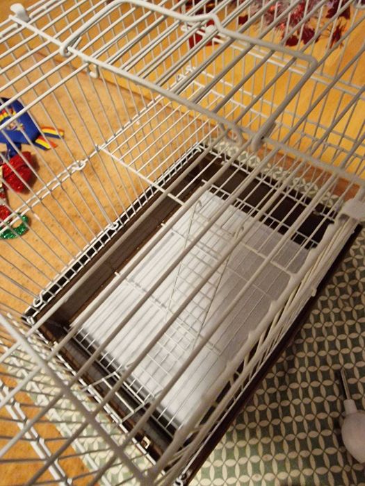 Cusca hamsteri cu casuta +  rotita +bol de mancare