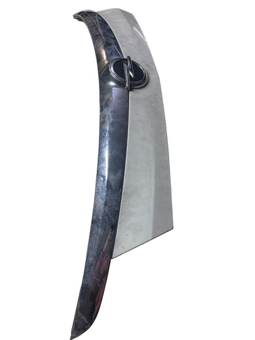 Ornament Haion Opel Insignia A Country Tourer G09 2008 - 2017