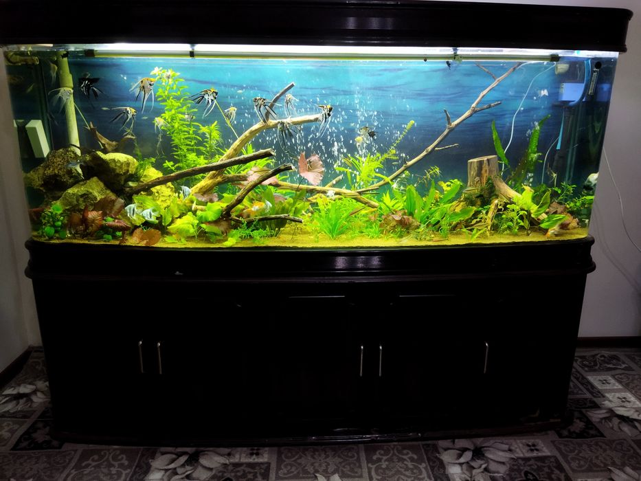 Заводской аквариум