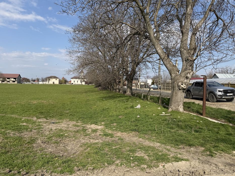 Vand ferma agricola 13 ha Autostrada A7