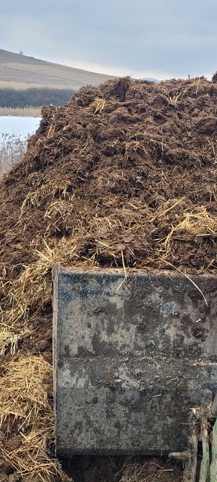 Gunoi de grajd /vaca