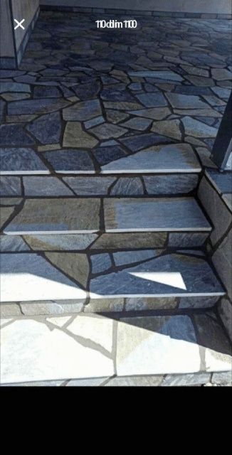 Piatră naturală de munte și plante ornamentale