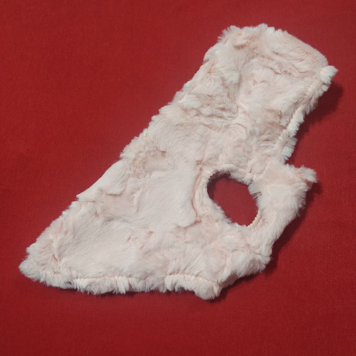 Новая одежда для маленьких собачек