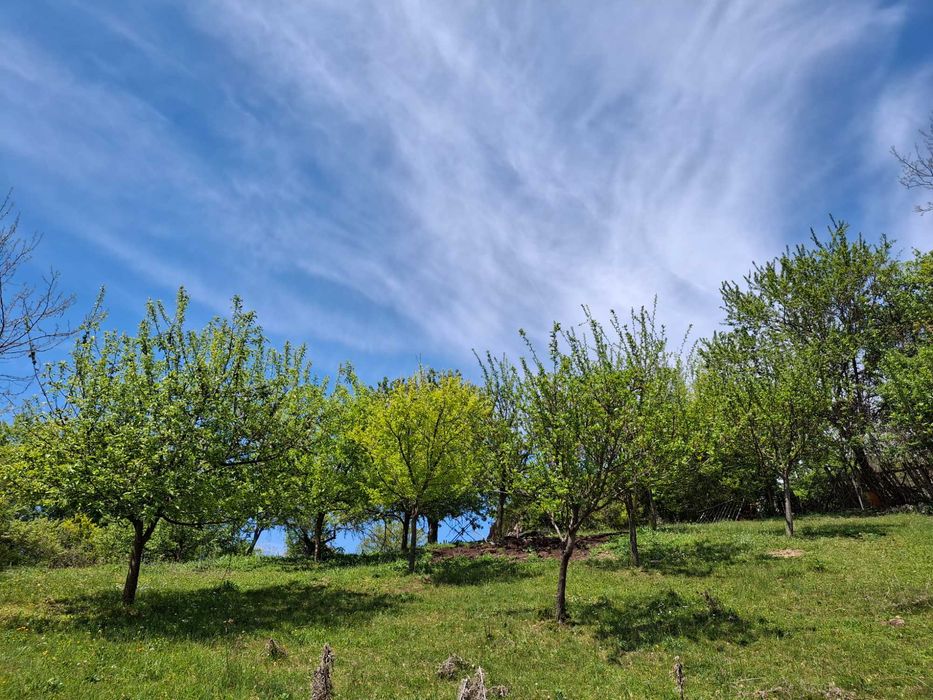 Два парцела с една къща