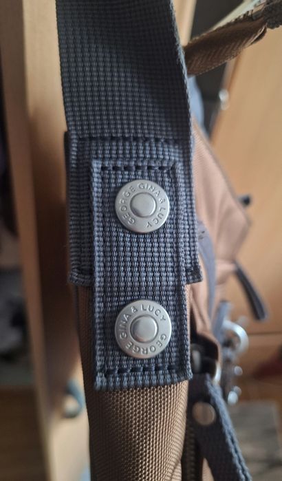 George Gina & Lucy geanta