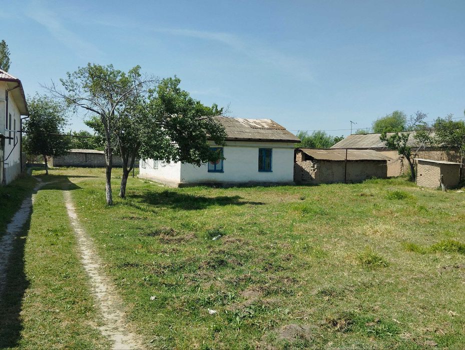 Авангард двадцать летда ер сотилади. Avangard. Food City