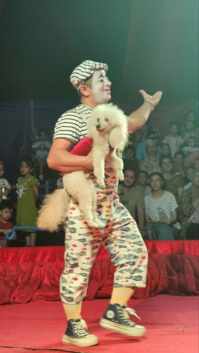 Шоу программа для вашего праздника!