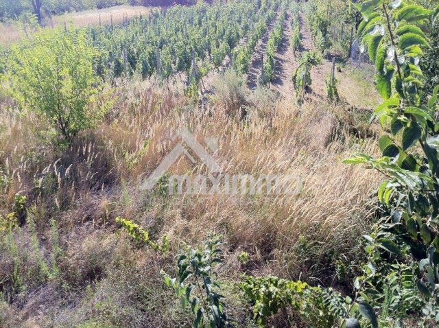 Продава се Парцел в Варна, м-т Боровец - север - 1000 кв.м за 60 €/кв.м - Снимка #9