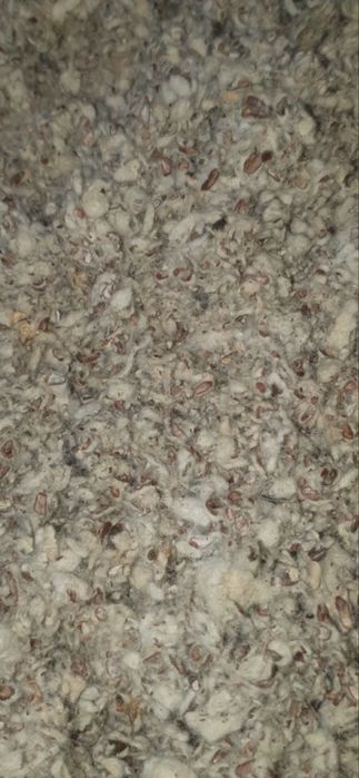 Шелуха хлопковая продам алматы