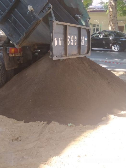 Газонлар учун чирнди гомис