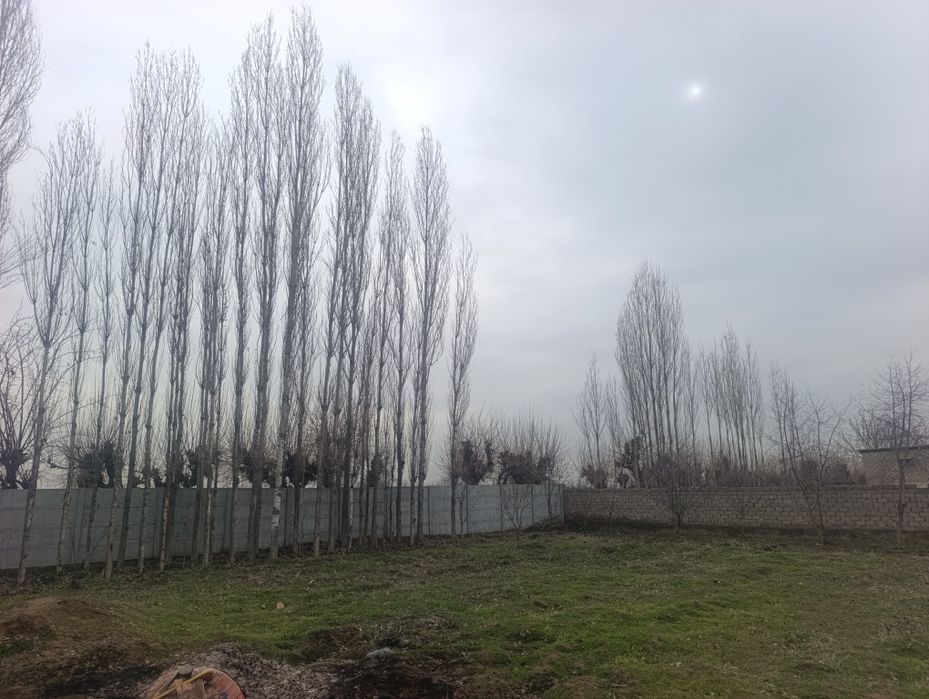 Yer sotiladi sotixi 4500$ joyimiz 5 sotix