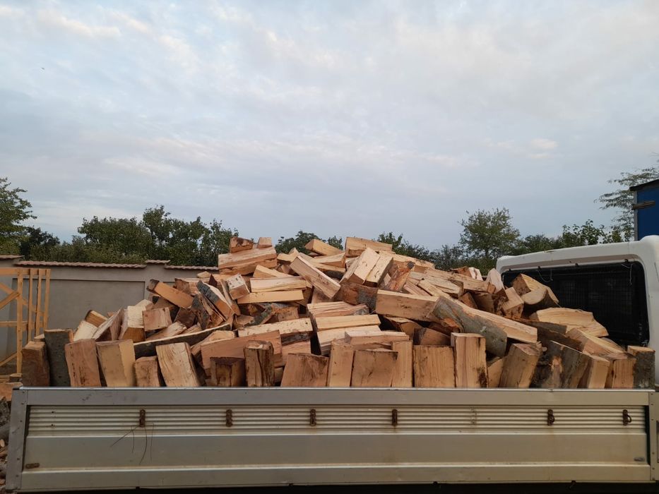 Vand Lemn de foc uscat