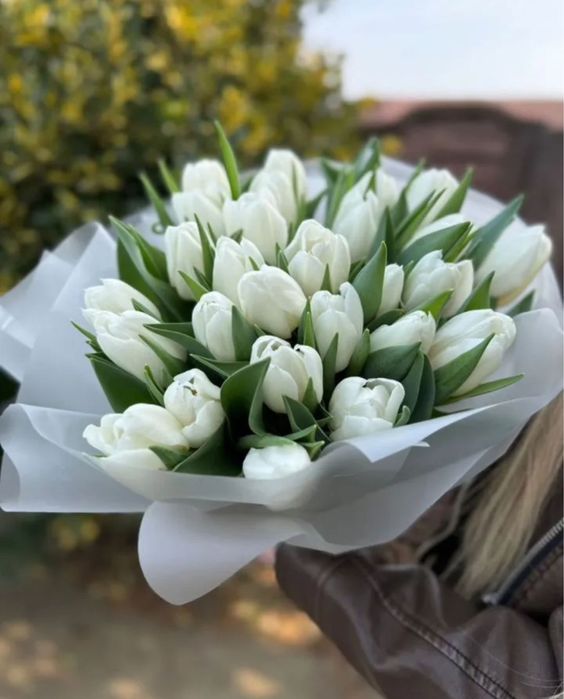 •Тюльпаны •Цветы в розницу