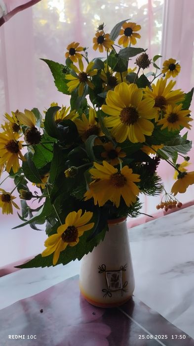 Саженцы гелиопсиса