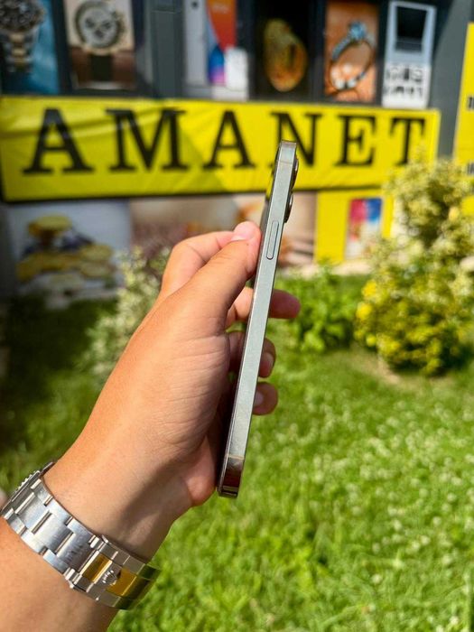 iPhone 12 Pro Max / 256GB / Gold - Impecabil