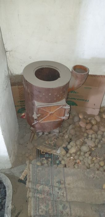 Буржуика чугуная