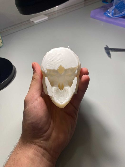 3D принтиран череп