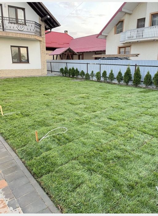 Gazon Rulou- Inalta calitate