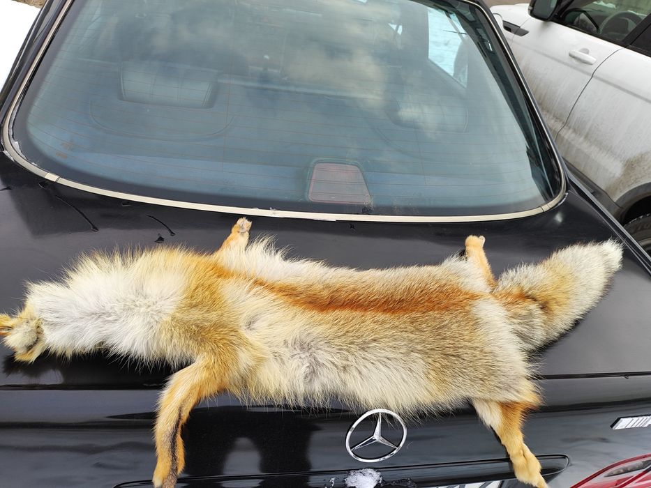 Воротник лисица шапка меховой