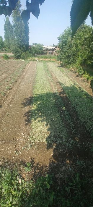 Uchastka sotiladi quruq yerri ozi Toshkent shahar yangihayot  tumani