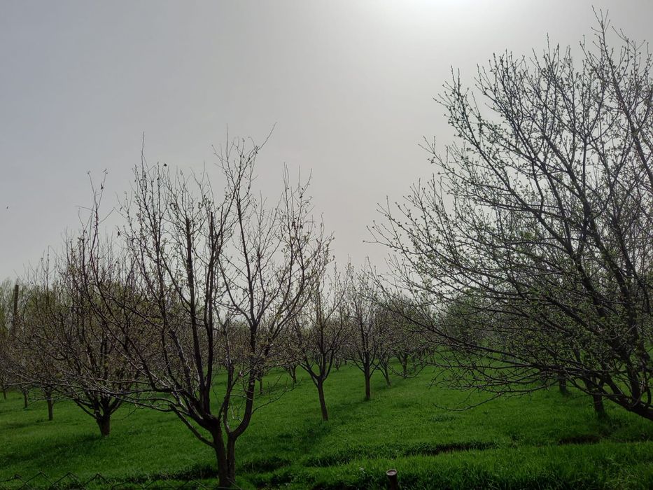 Жер учаскесі сатылады