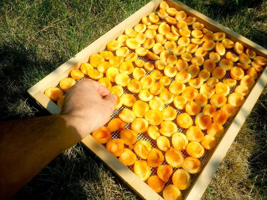 Fructe Uscate – 100% NATURALE