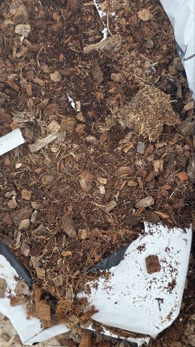 Ишлатилган кокопит сотилади