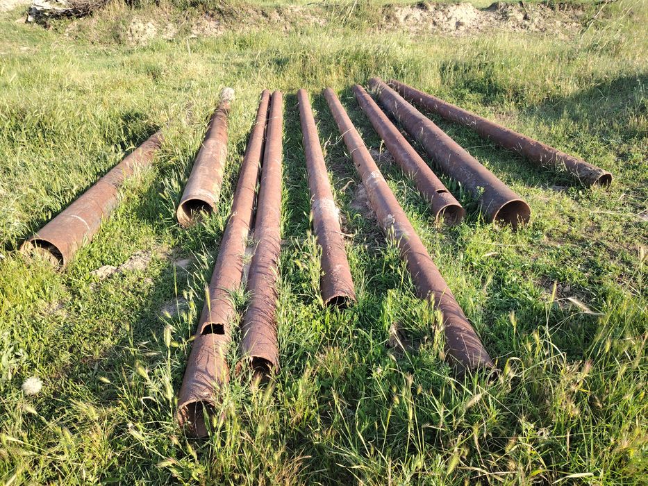 Трубалар российский