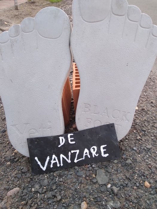 Vând tălpi uriaș cu fier