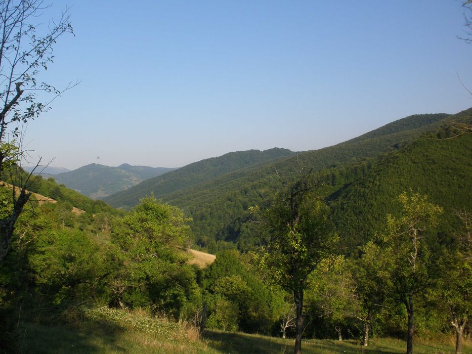 Парцел в с.Рибарица