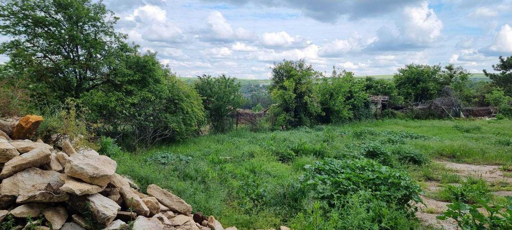 550-Продава се дворно място в село Пороище!