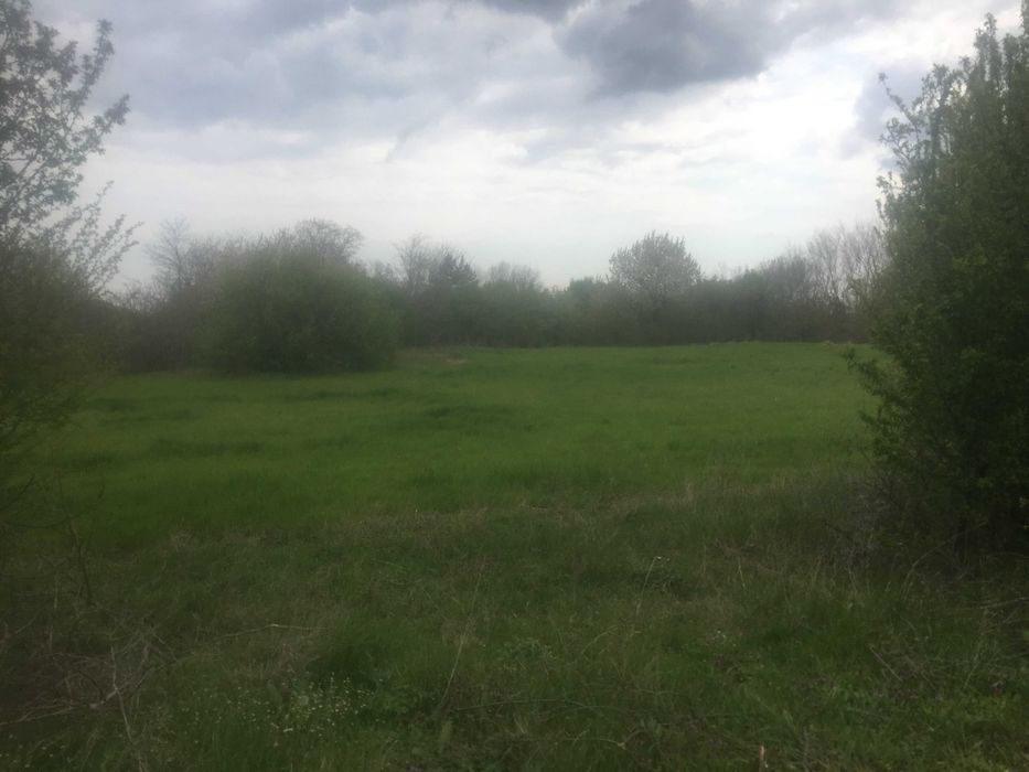 Продава се Къща в с. Видно, Област Добрич - 62 кв.м за 404 €/кв.м - Снимка #2