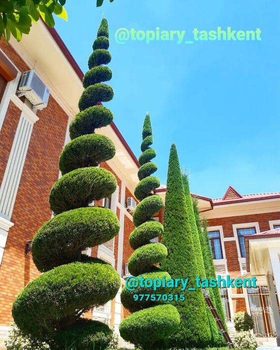 Archa kesish va dorilash