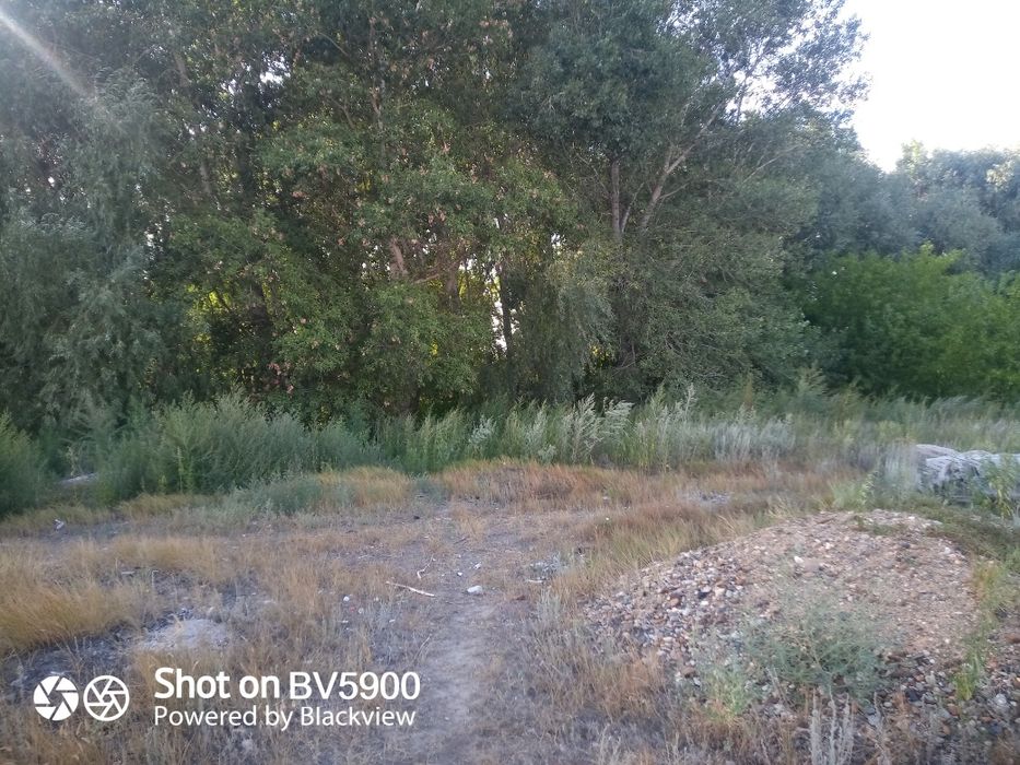 Продам участок восточный 5 дачи мечеть.