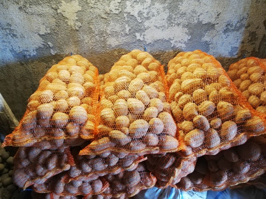 Cartofi de consum și de sămânță