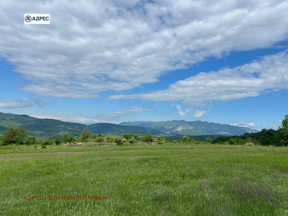 Парцел в Враца, област-с.Типченица площ 39580 цена 310000