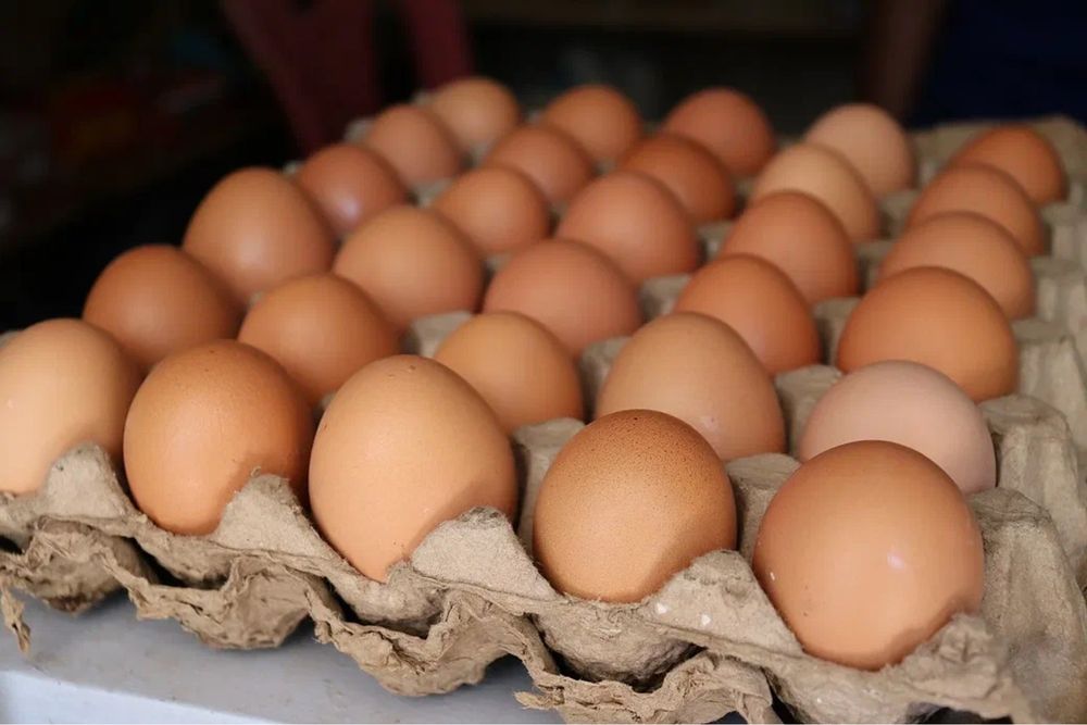 Продам куринные яйца!