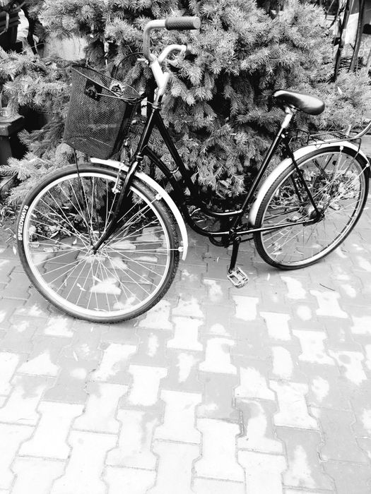 Bicicleta Dama marime 28