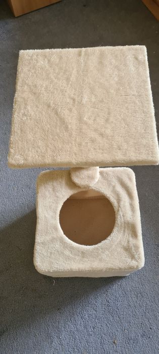 Котешка катерушка