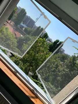 Plase de insecte Plase de tantari