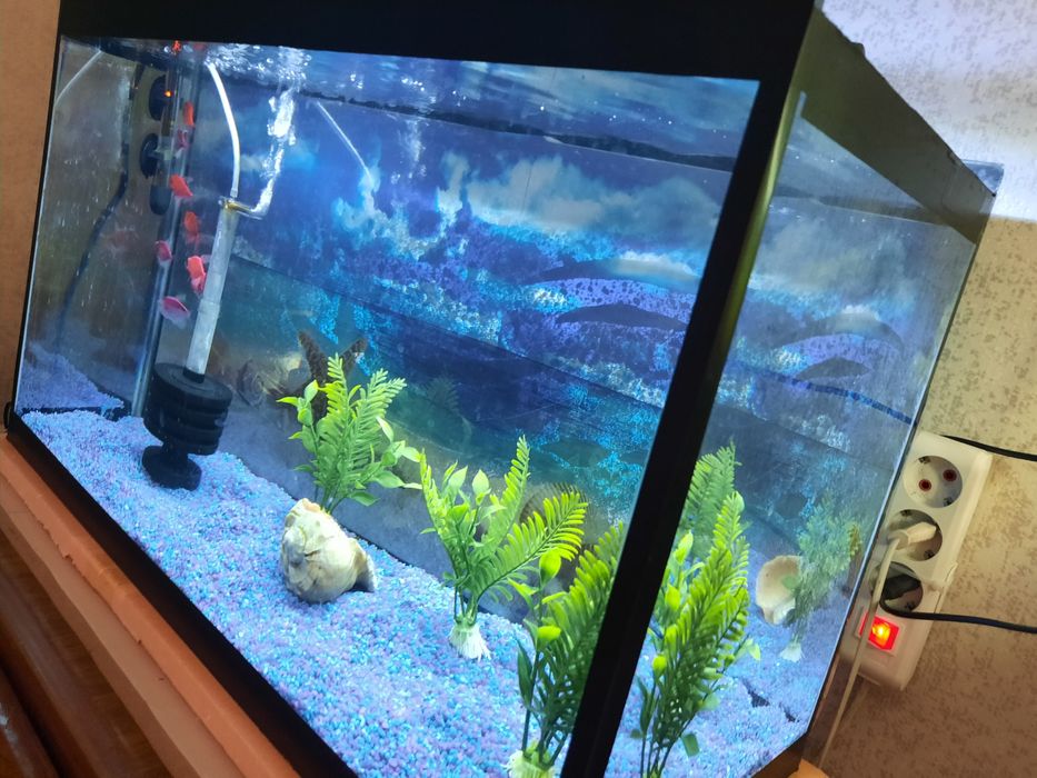 Продам  аквариум