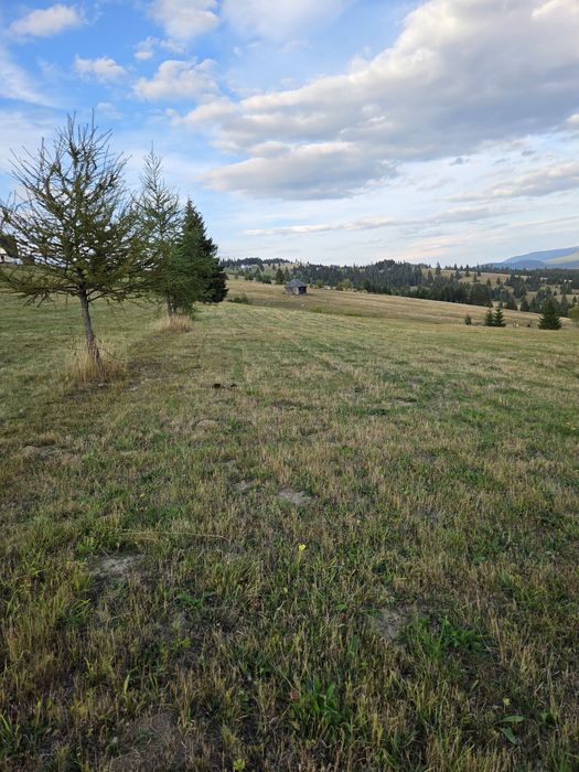 Teren Piatra Fântânele pasul Tihuta