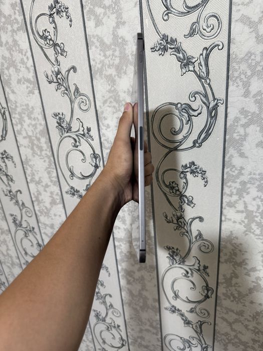 Ipad pro 512 gb