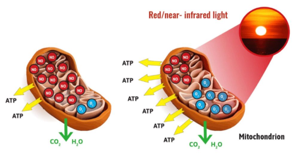 Лампа Красного Света