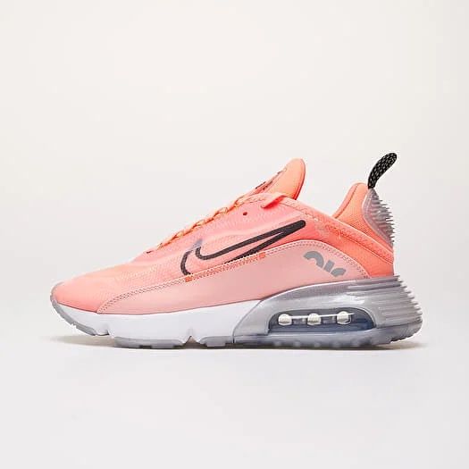Nike W Air Max 2090