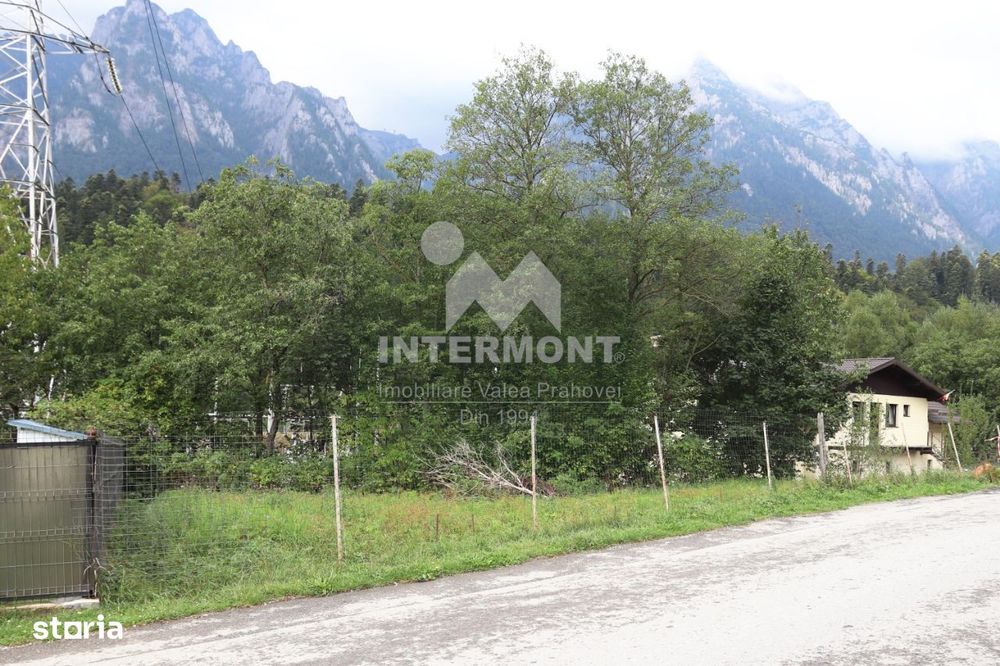 Teren Busteni- intravilan