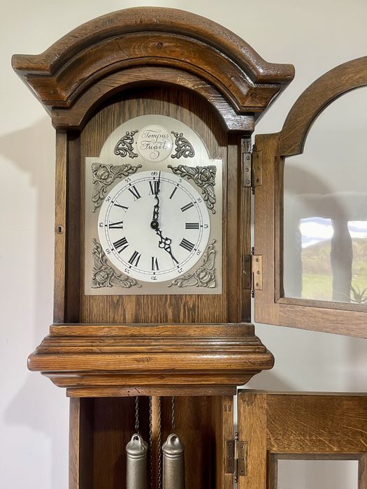 Ceas cu pendula de colectie Tempus Fugile