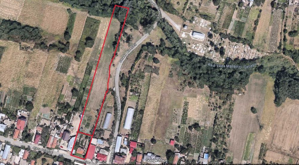 Teren + casă Albesti